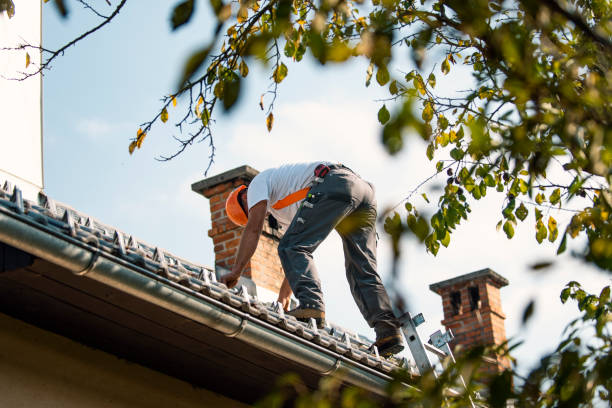 Best Storm Damage Roof Repair  in Utica, IN