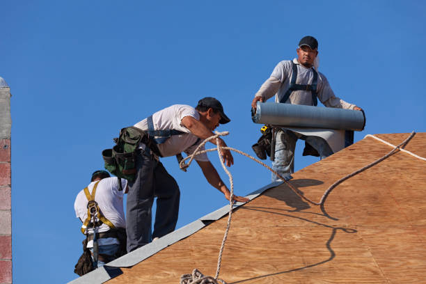 Best Storm Damage Roof Repair  in Utica, IN